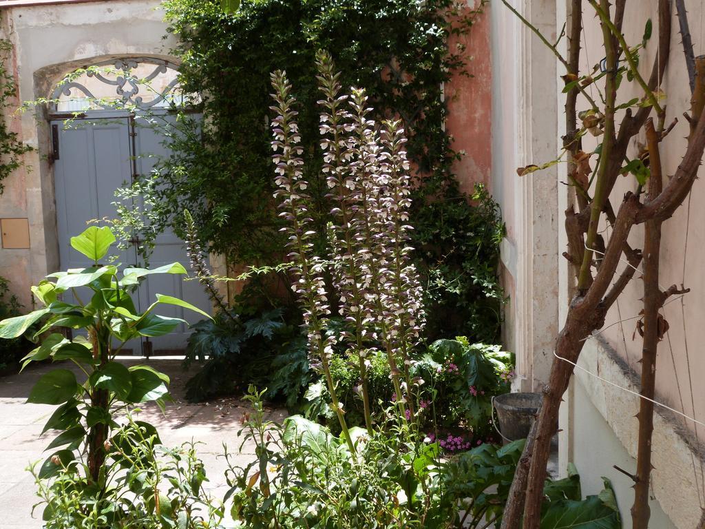 Maison Arriu Bed & Breakfast Montaut  Exterior foto